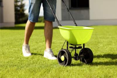 Plush Lawn Fertilization 1