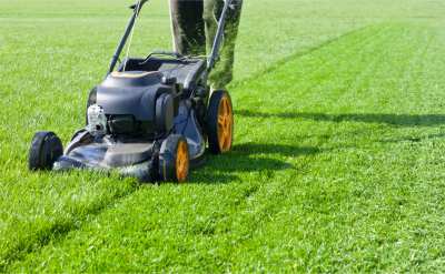 Plush Lawn Mowing 1