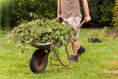 Plush Lawn Thatching