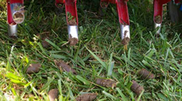 core aeration calgary